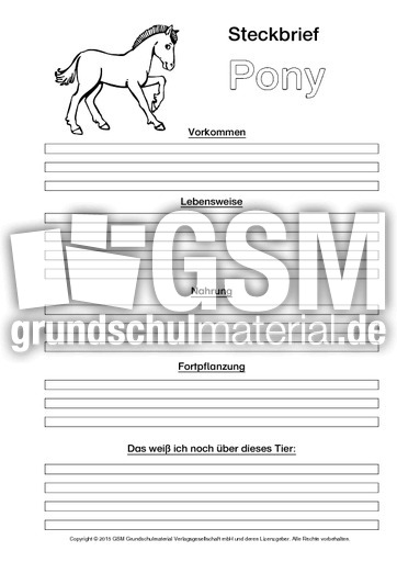 Pony-Steckbriefvorlage-sw.pdf